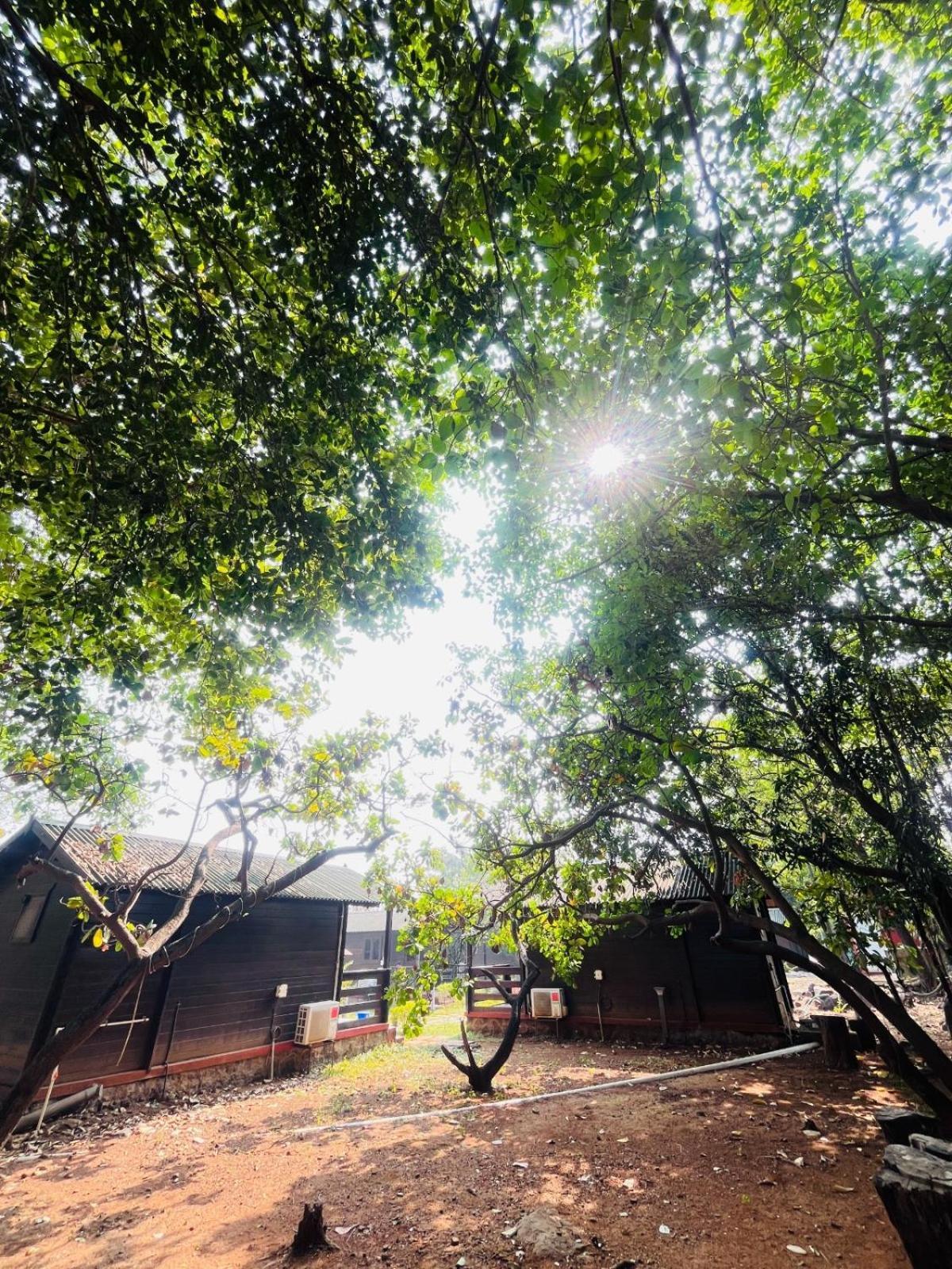 Cocorico Stay Ya! Cottages Alibag Exterior photo