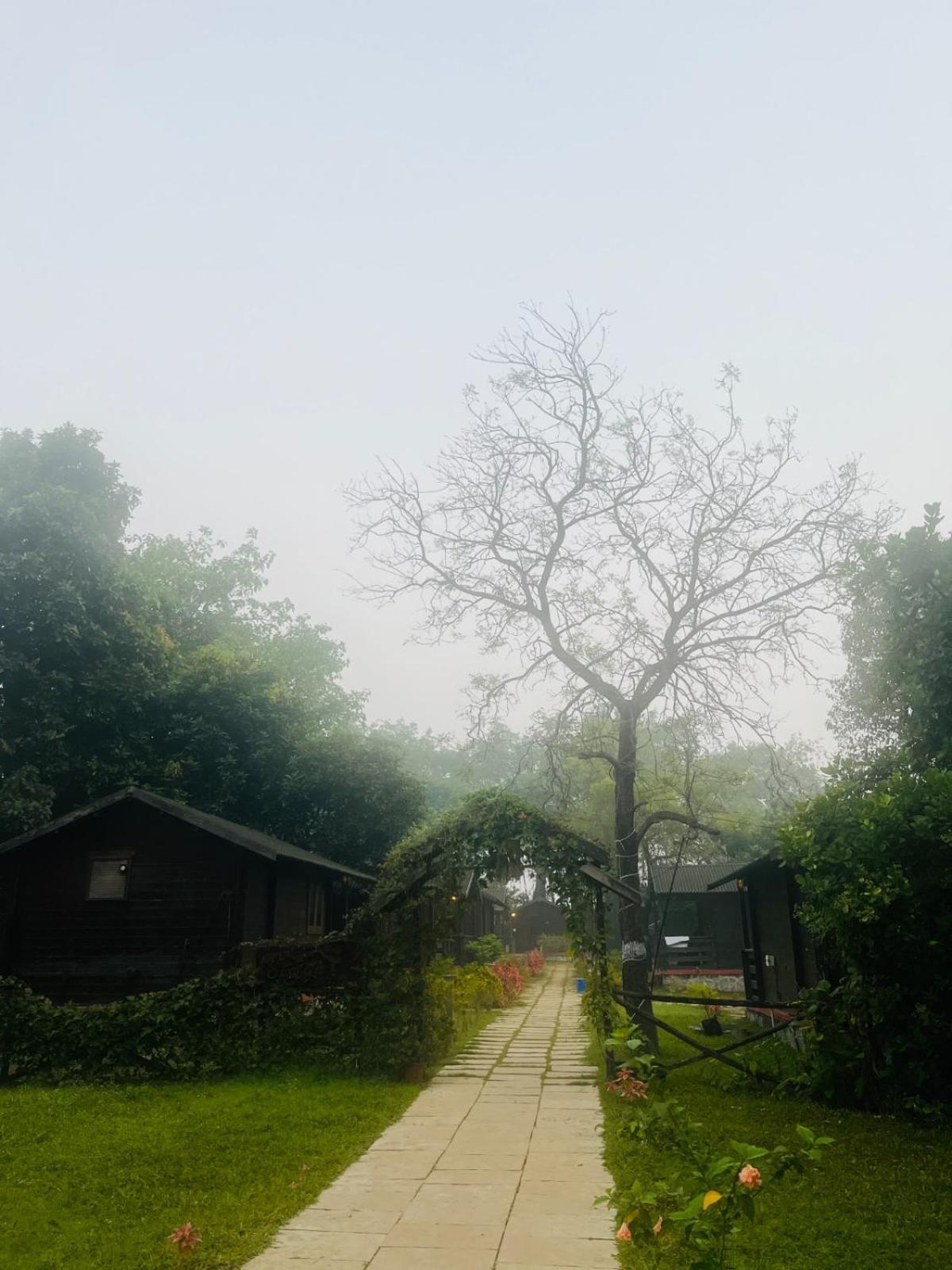Cocorico Stay Ya! Cottages Alibag Exterior photo
